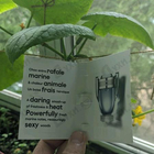 Духи Invictus от Paco Rabanne