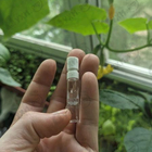 Отзыв Paco Rabanne Invictus