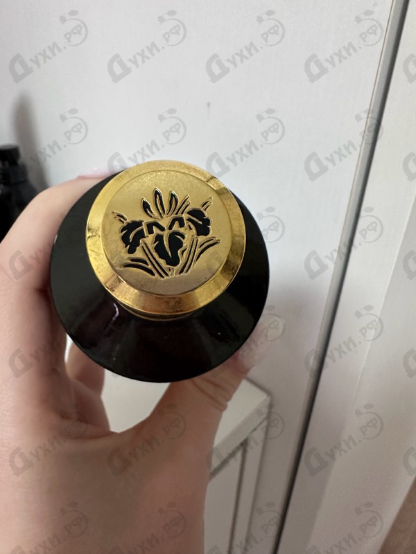 Купить Aoud Black Candy от Mancera