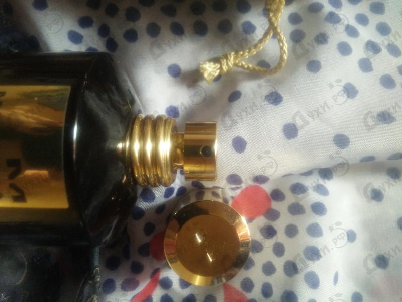 Отзыв Mancera Aoud Cafe Парфюмерия Aoud Cafe от Mancera