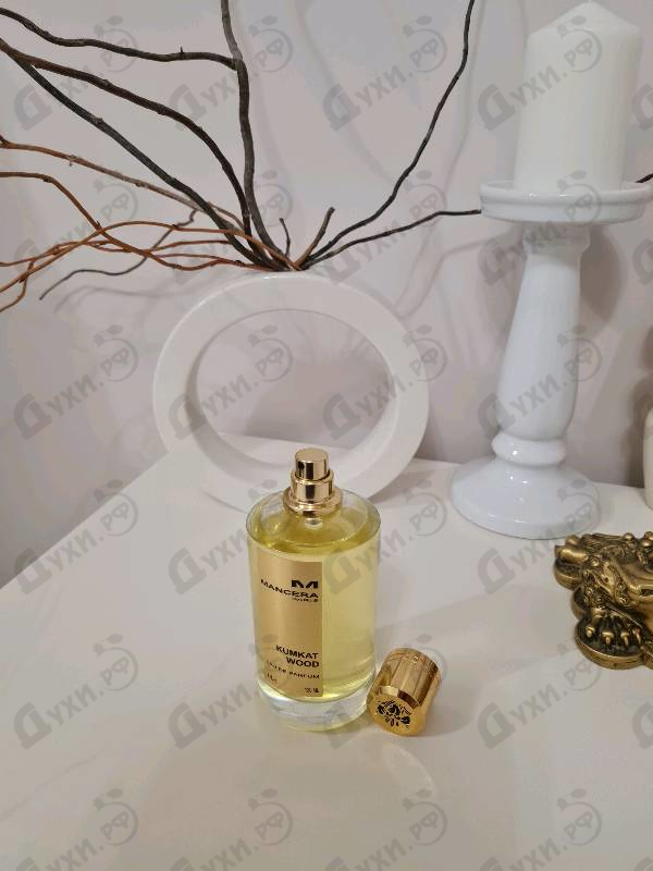 Купить Kumkat Wood от Mancera