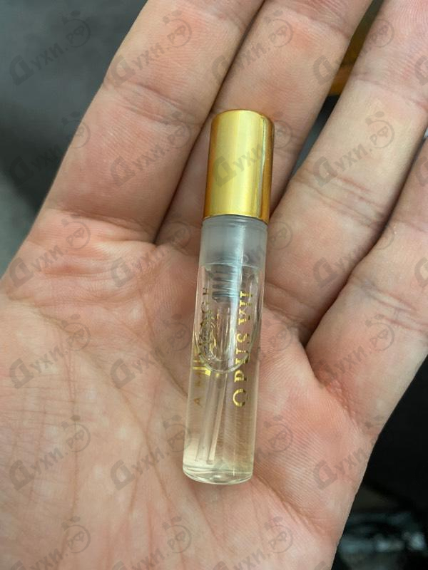 Парфюмерия Library Collection Opus VII от Amouage