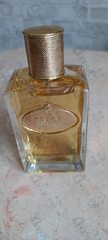 Отзыв Prada Infusion D'iris Absolue