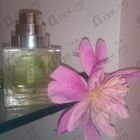 Отзывы The Different Company Sublime Balkiss