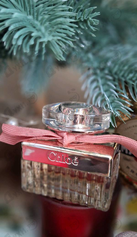 Купить Roses De Chloe от Chloe