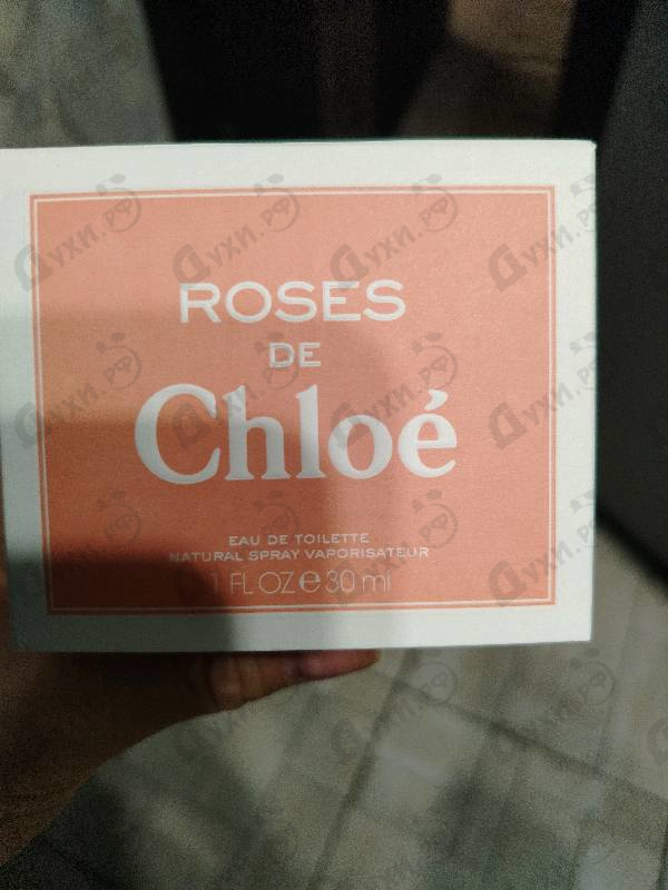 Отзыв Chloe Roses De Chloe
