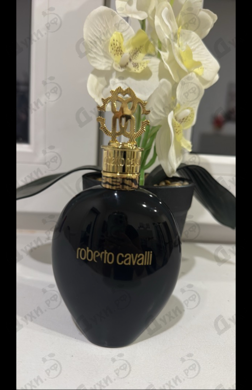 Духи Nero Assoluto от Roberto Cavalli