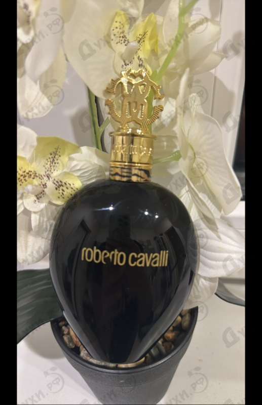 Духи Nero Assoluto от Roberto Cavalli