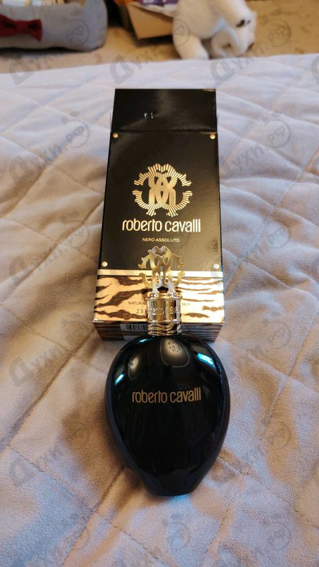 Отзыв Roberto Cavalli Nero Assoluto