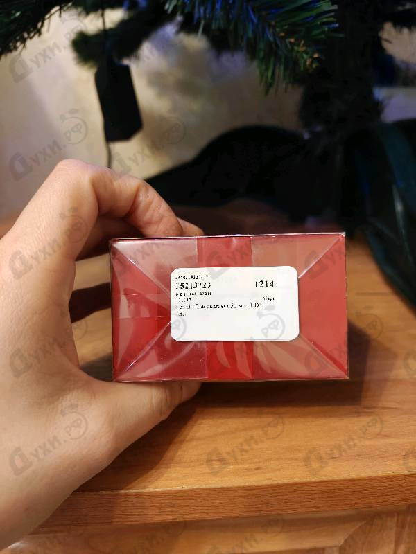 Отзывы Fendi L'acquarossa