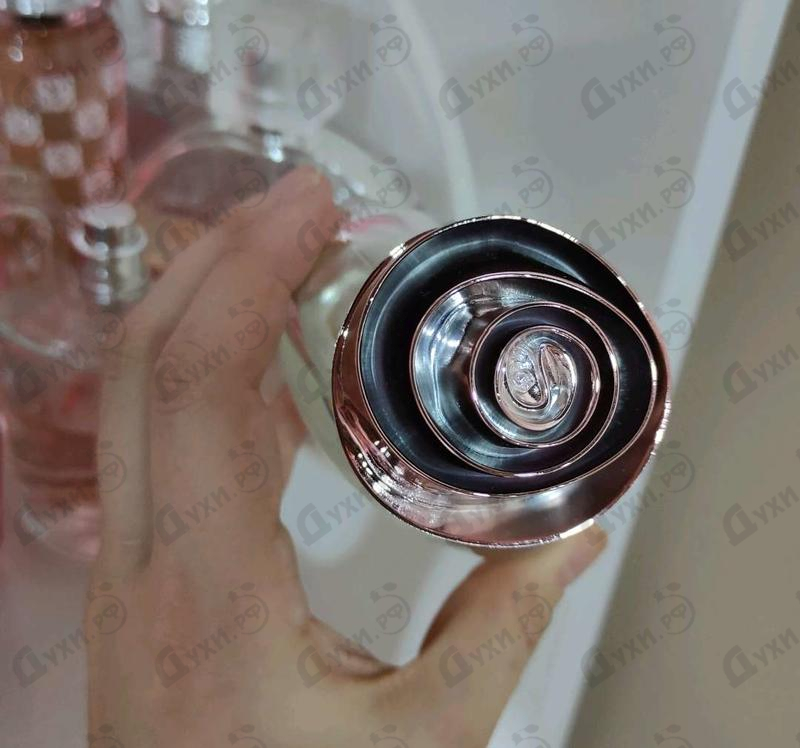 Купить Rose Lumiere от Armand Basi Отзыв Armand Basi Rose Lumiere