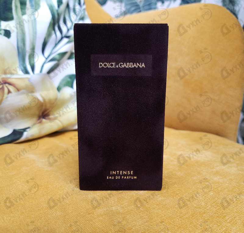 Отзыв Dolce & Gabbana Pour Femme Intense