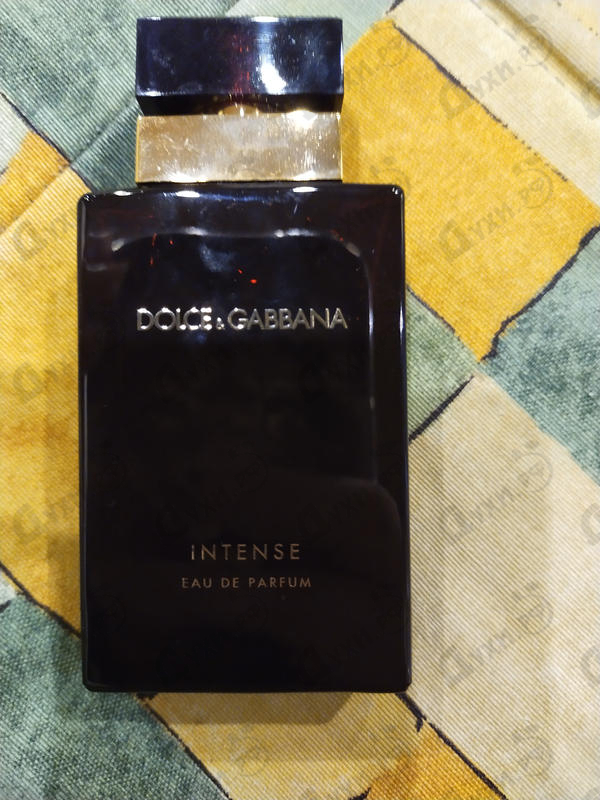 Купить Pour Femme Intense от Dolce & Gabbana