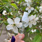 Отзывы Kilian Good Girl Gone Bad