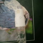 Отзывы Kilian Good Girl Gone Bad