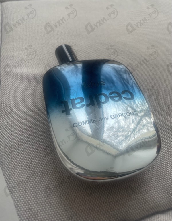 Купить Blue Cedrat от Comme Des Garcons