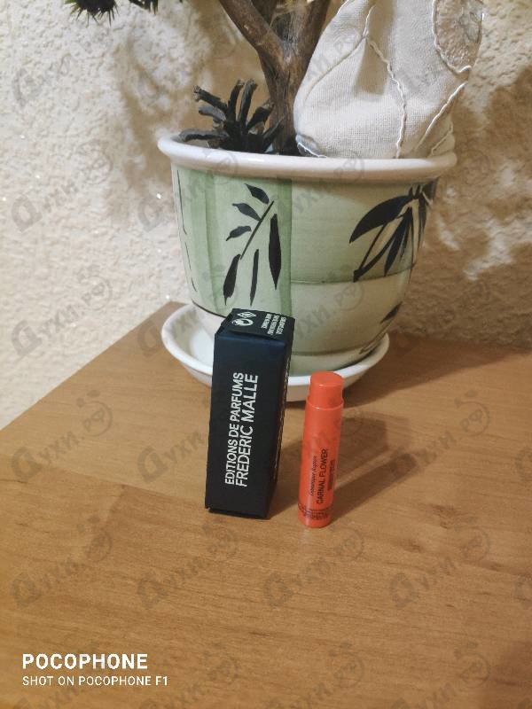 Купить Frederic Malle Carnal Flower