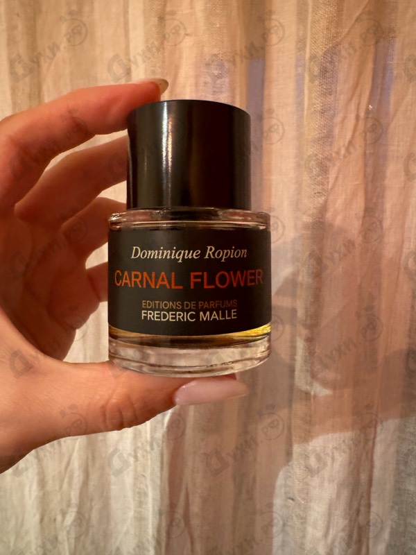 Купить Frederic Malle Carnal Flower