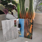 Парфюм Memo Italian Leather