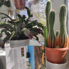 Парфюм Memo Italian Leather