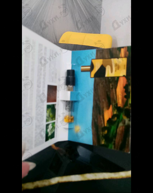 Парфюмерия Italian Leather от Memo