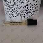 Отзыв Montale Intense Cafe