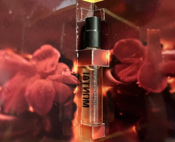 Купить Intense Cafe от Montale