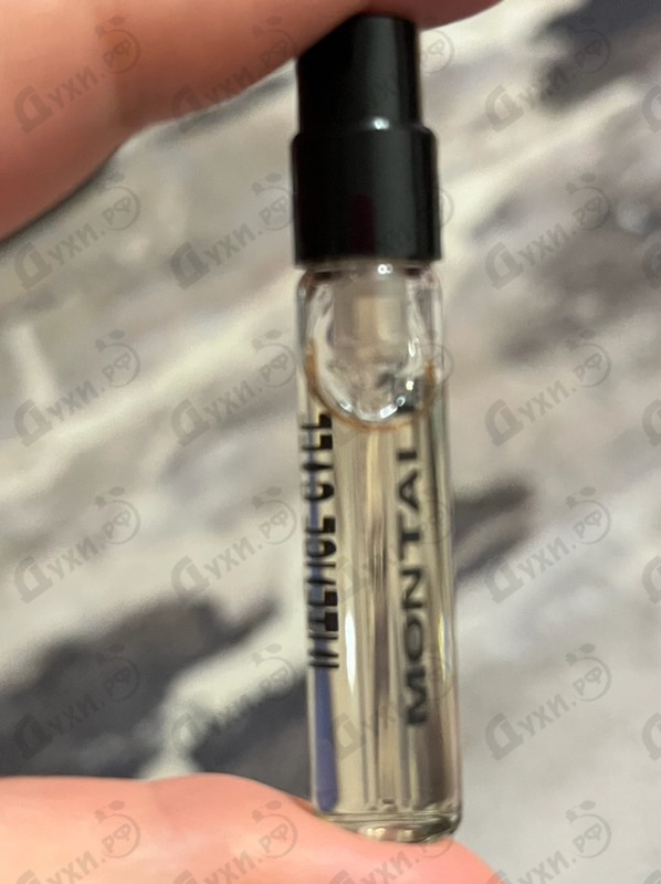 Купить Intense Cafe от Montale