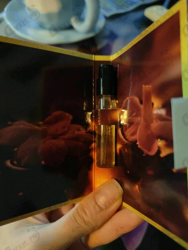 Духи Intense Cafe от Montale