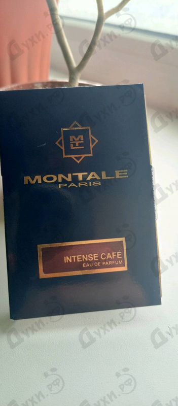 Отзывы Montale Intense Cafe