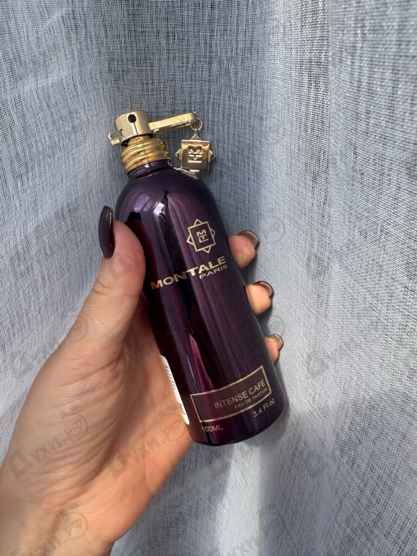 Купить Intense Cafe от Montale