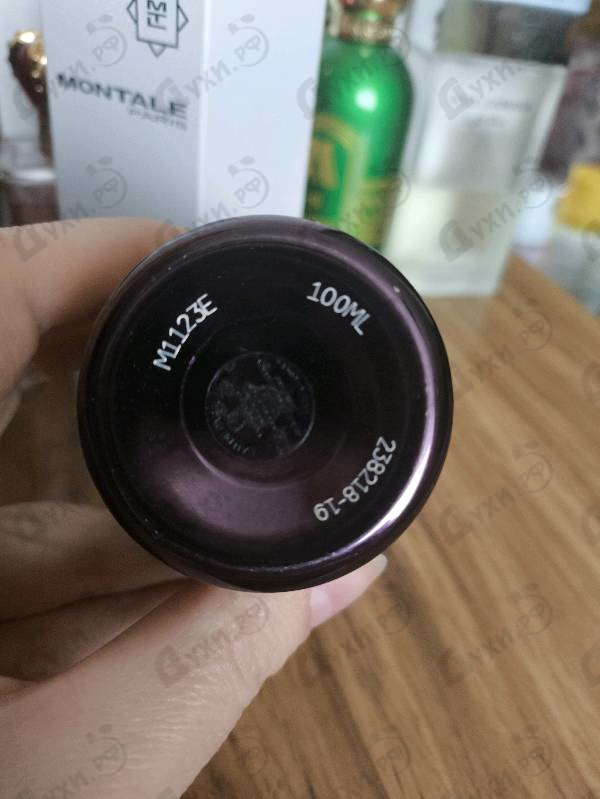 Купить Intense Cafe от Montale