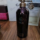 Отзывы Montale Intense Cafe