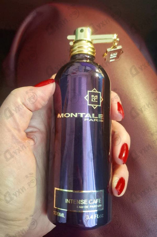 Купить Intense Cafe от Montale