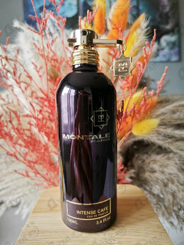 Купить Intense Cafe от Montale