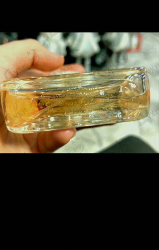 Парфюмерия My Name от Trussardi