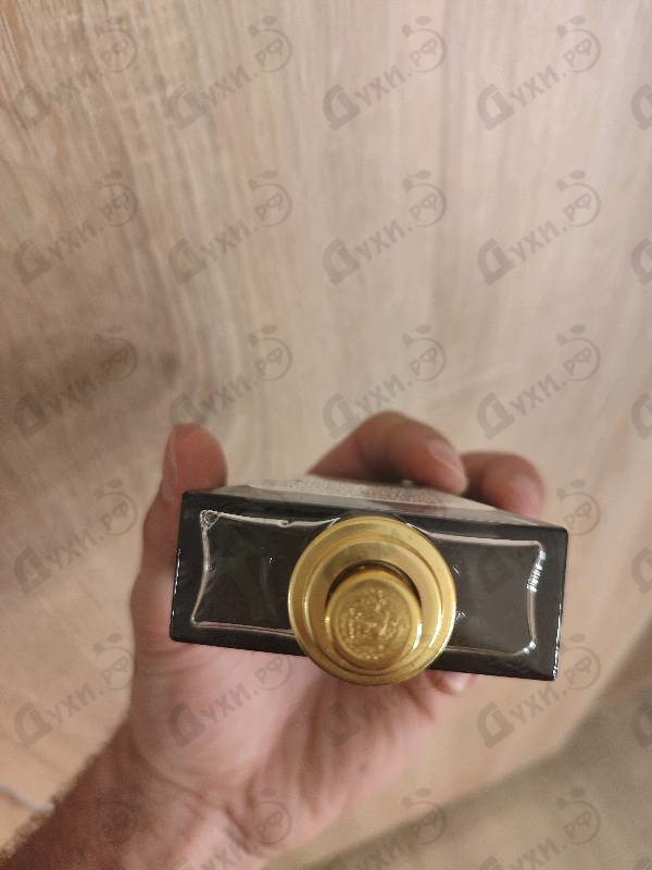 Купить Oud Noir от Versace