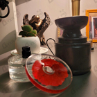 Отзыв Kenzo Flower In The Air