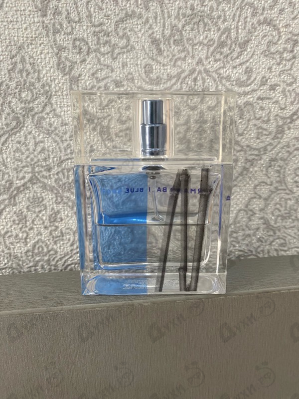 Купить Blue Sport от Armand Basi