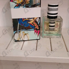 Отзыв Balenciaga Rosabotanica