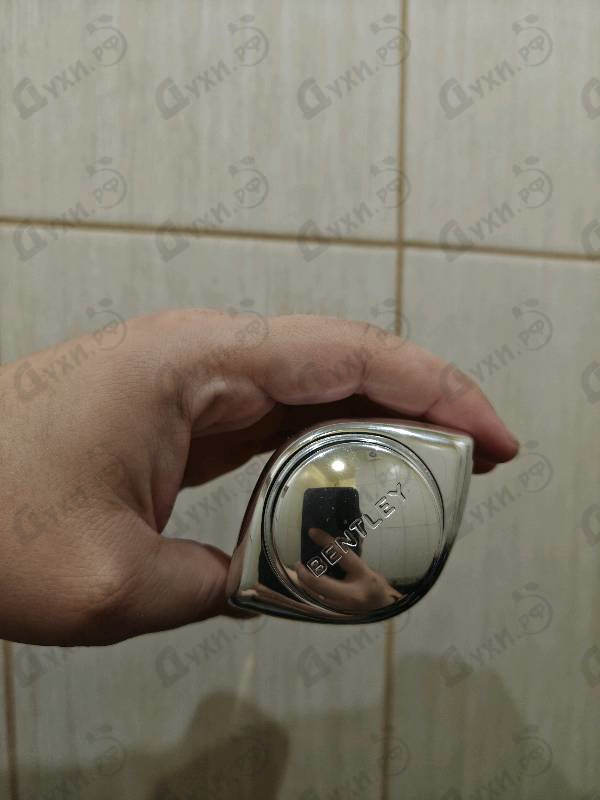 Отзывы Bentley For Men Intense