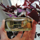 Отзывы Diptyque Do Son