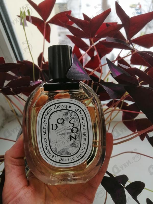 Парфюмерия Do Son от Diptyque Отзывы Diptyque Do Son