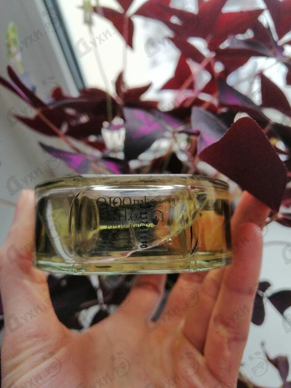 Отзыв Diptyque Do Son Духи Do Son от Diptyque