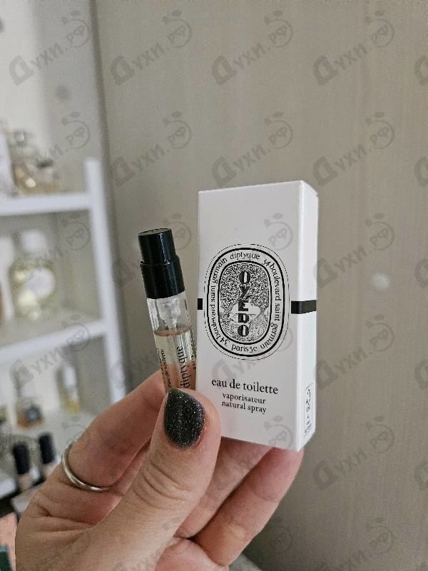 Купить Oyedo от Diptyque