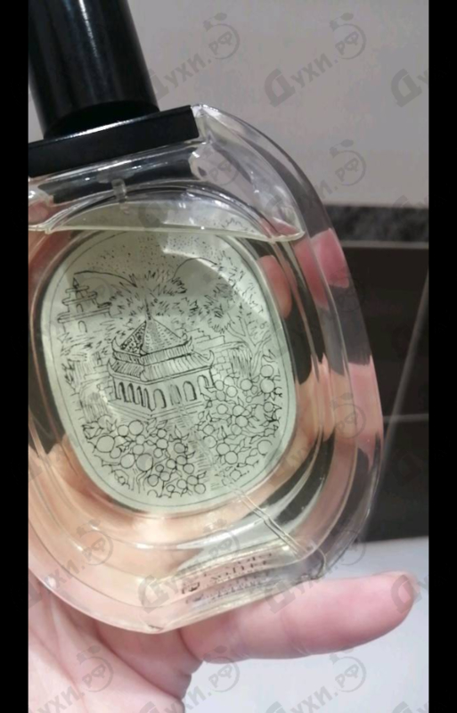 Купить Diptyque Oyedo Парфюмерия Oyedo от Diptyque
