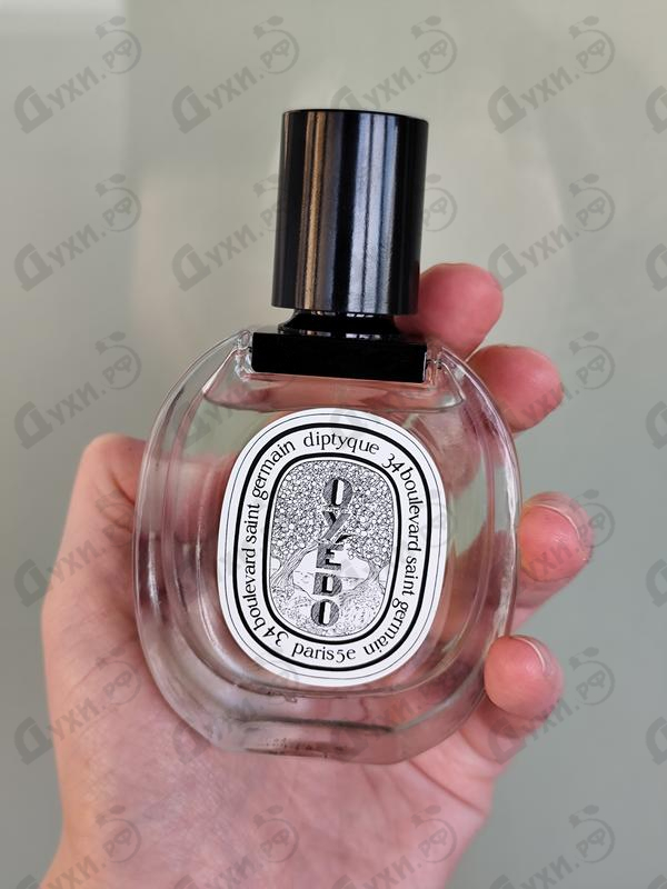Купить Oyedo от Diptyque
