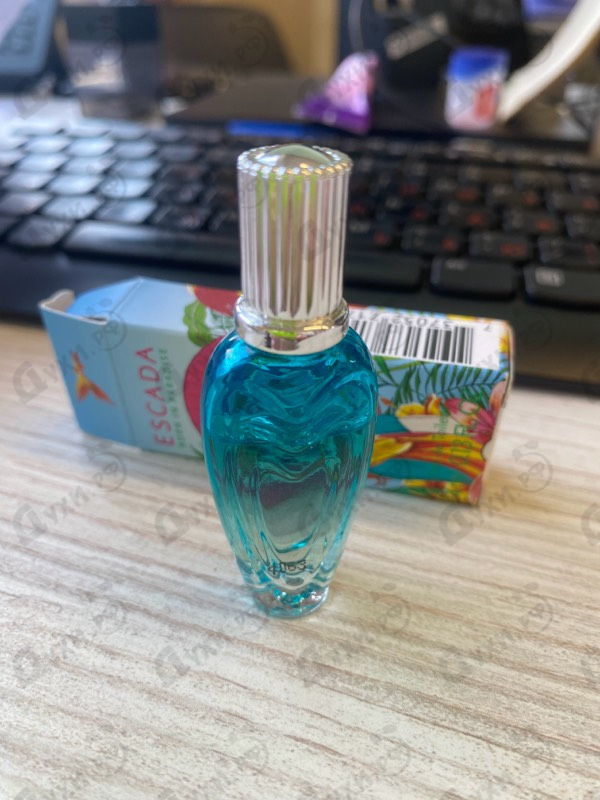 Купить Born In Paradise от Escada