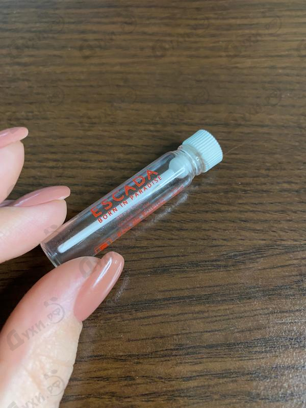 Купить Born In Paradise от Escada Купить Escada Born In Paradise