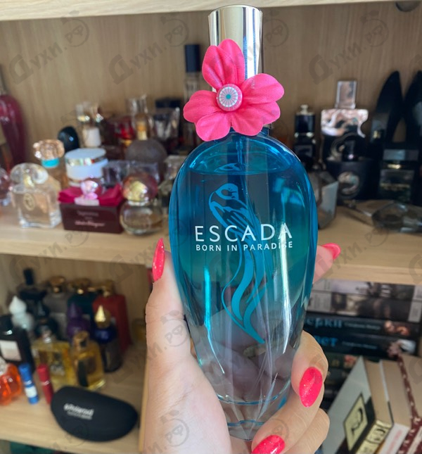 Парфюмерия Escada Born In Paradise Купить Born In Paradise от Escada